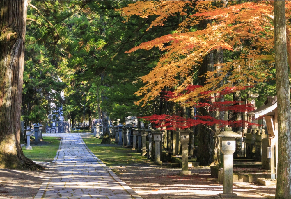 高野山 大門